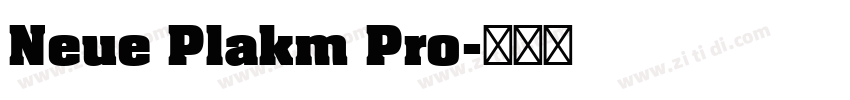 Neue Plakm Pro字体转换